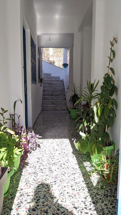 شقة Sapho'S House ليونِذيو المظهر الخارجي الصورة